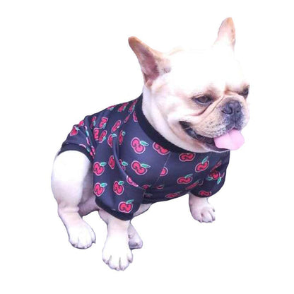 Cozy Canine Couture: Spring And Autumn Teddy Dog Clothing